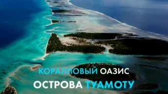 Коралловый оазис острова Туамоту
