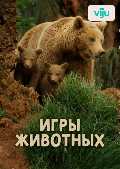 Игры животных