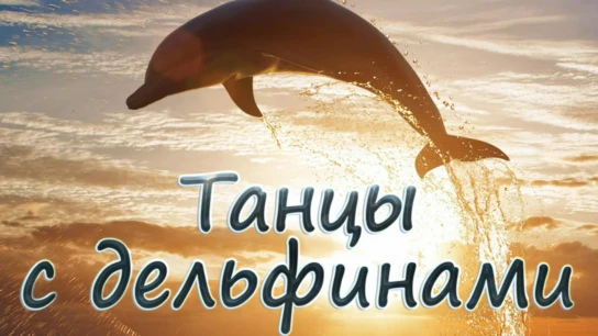 Танцы с дельфинами