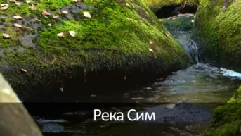 Река Сим