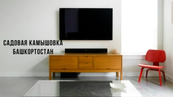 Садовая камышовка Башкортостан