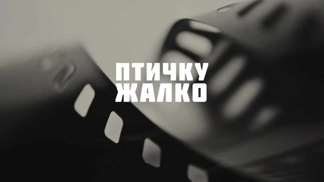 Фильм Птичку жалко