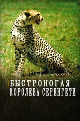 Быстроногая королева Серенгети