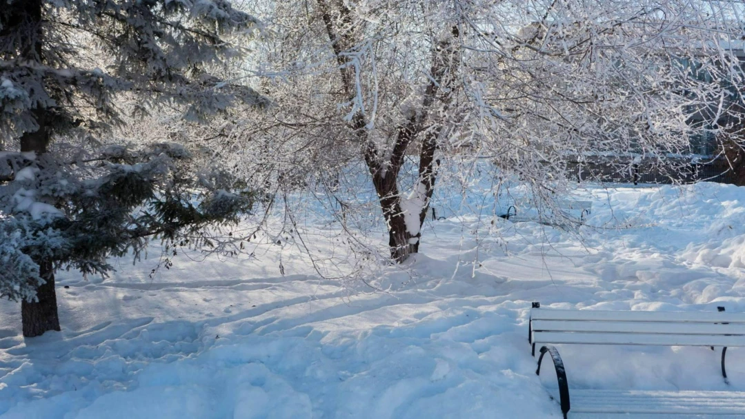 Передача Морозный день