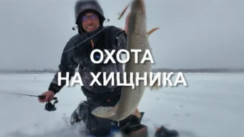Охота на хищника