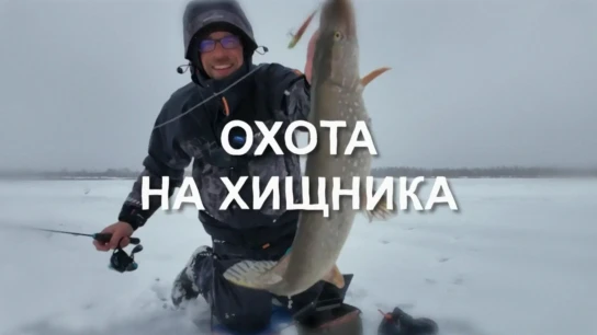 Охота на хищника