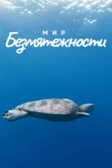 Мир безмятежности
