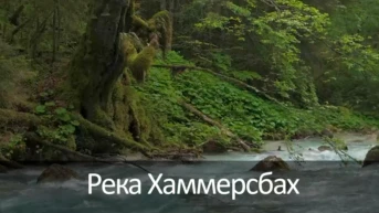 Река Хаммерсбах