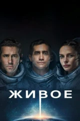 Жизнь