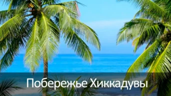 Побережье Хиккадувы
