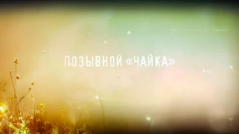Позывной «Чайка»