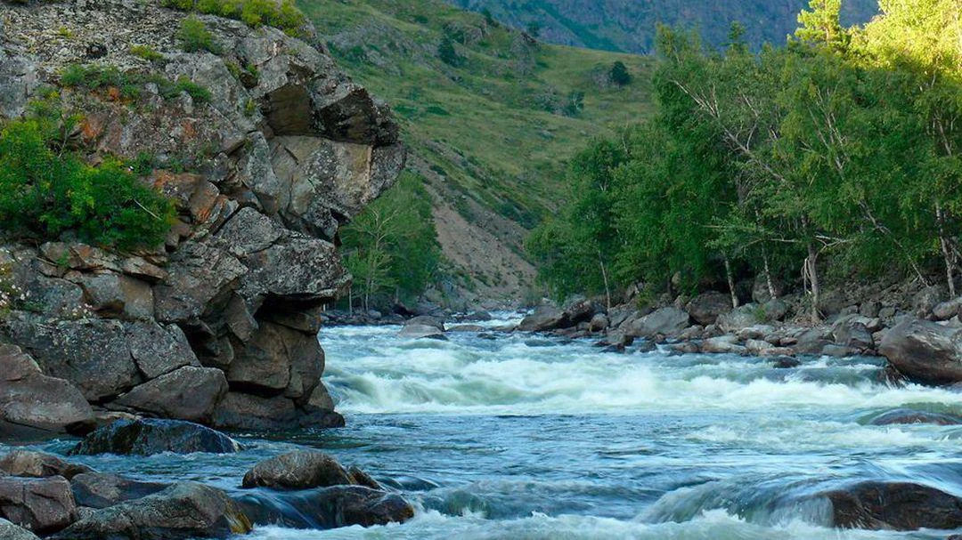Передача Река Чульча