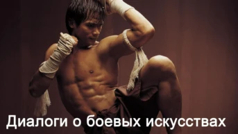 Диалоги о боевых искусствах