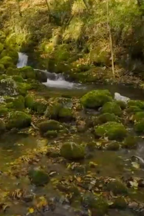 Река Нера Румыния