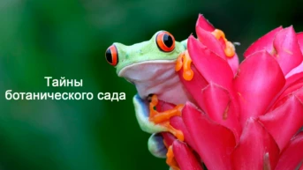 Тайны ботанического сада