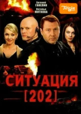 Ситуация 202