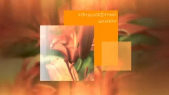 Ландшафтный дизайн