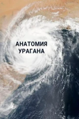 Анатомия урагана