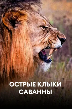Острые клыки Саванны