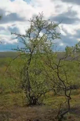 Озеро Кийявр