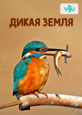 Дикая земля