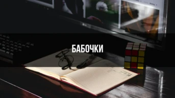 Бабочки