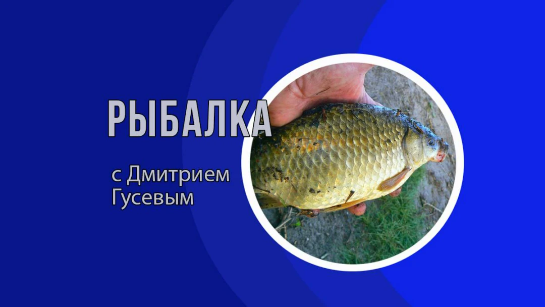 Передача Рыбалка с Дмитрием Гусевым