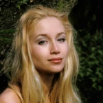 Лин Шардонне