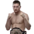 Владимир Минеев