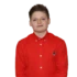 Луис Эшборн Серкис