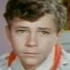 Андрей Дмитриев