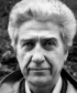 Ален Рене