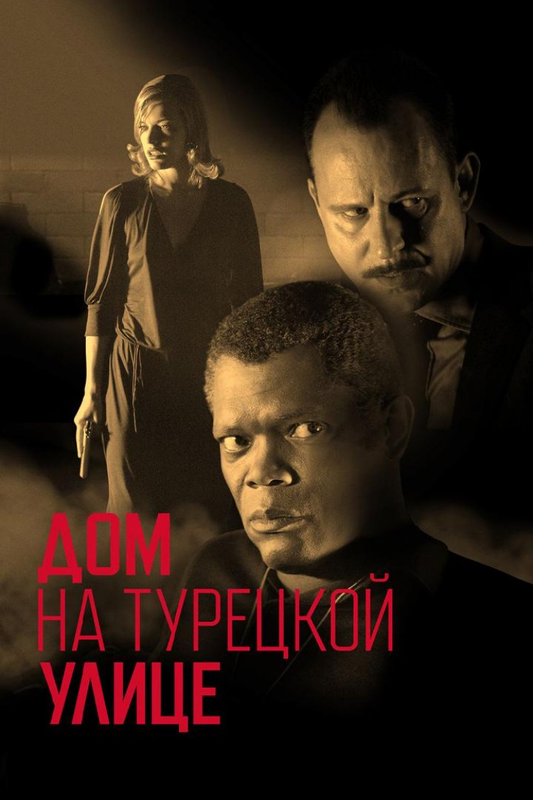 Дом на Турецкой улице — обложка