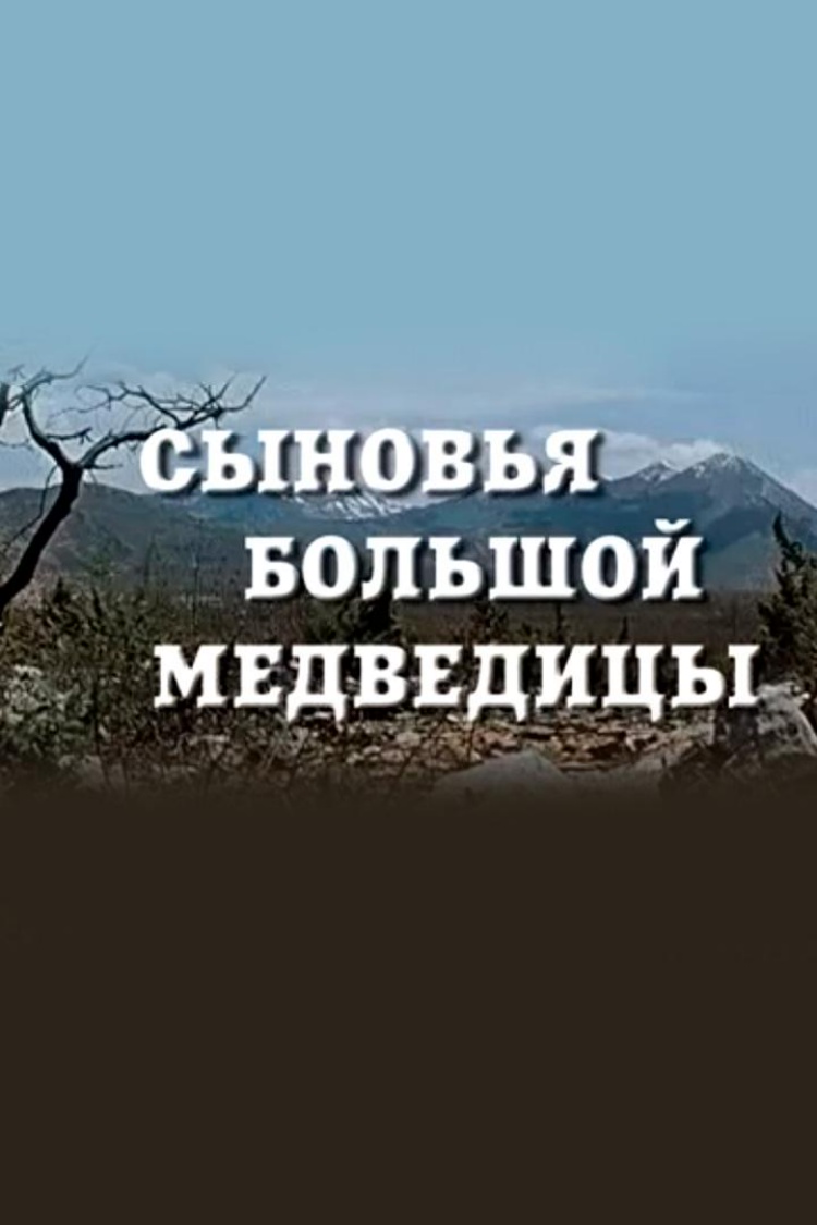 Сыновья Большой Медведицы — обложка
