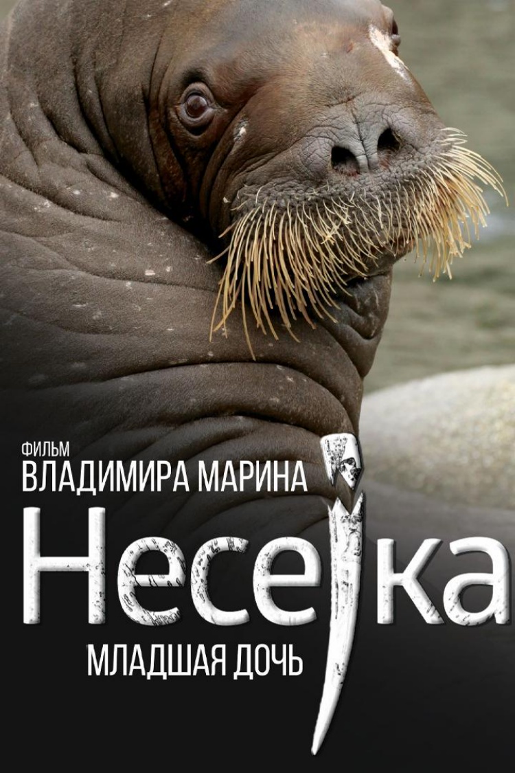 Несейка. Младшая дочь — обложка