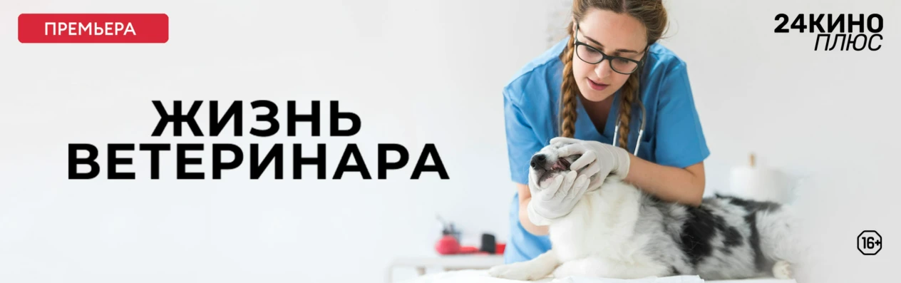 Баннер для v3.0. Передачи. Жизнь ветеринара